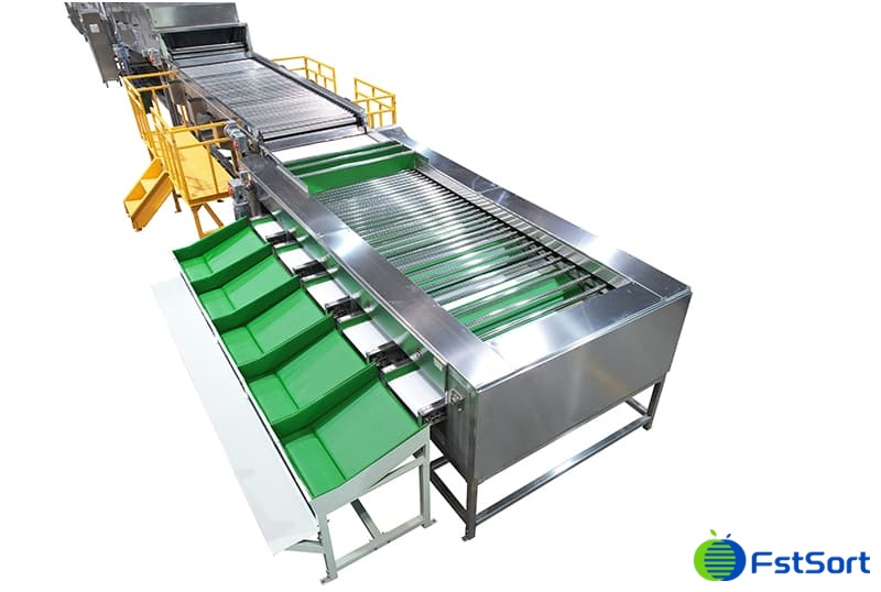 línea-de-clasificación-de-batatas línea-de-clasificación-de-batatas