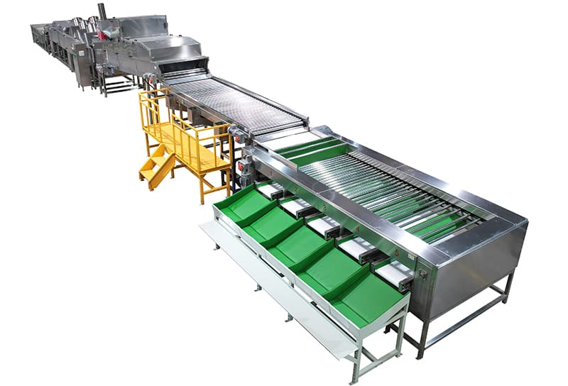 stainless steel sweet potato processing line