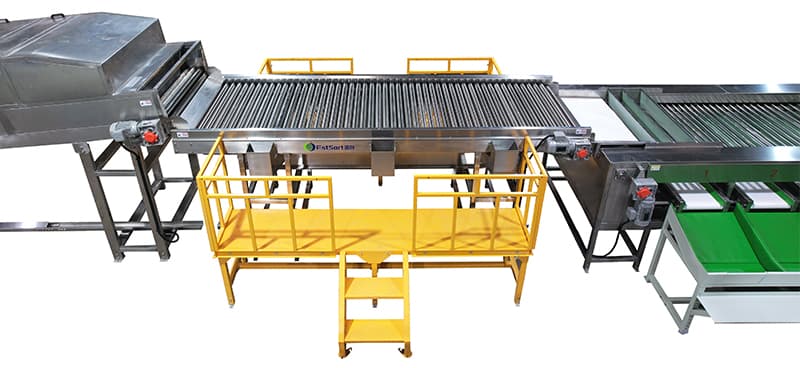 manual fruit inspection