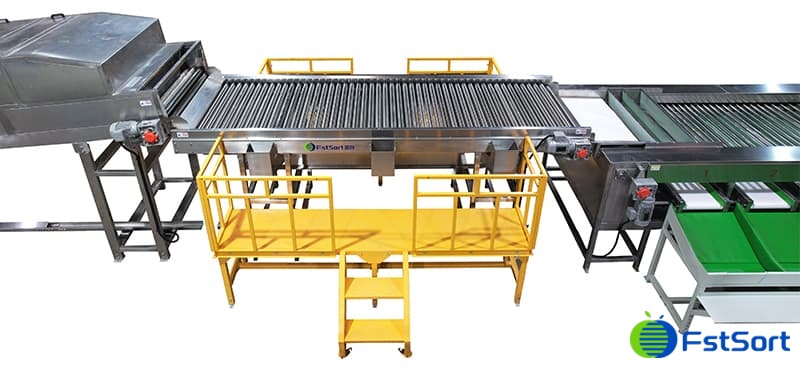 manual fruit inspection manual fruit inspection