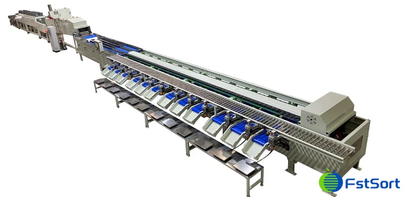 kiwifruit-sorting-machine kiwifruit-sorting-machine