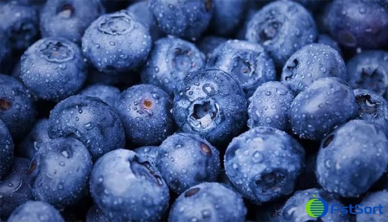 Peruvian blueberries Peruvian blueberries