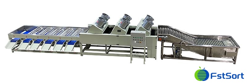 Tangerine-Cleaning-Sorting-Machine Tangerine-Cleaning-Sorting-Machine