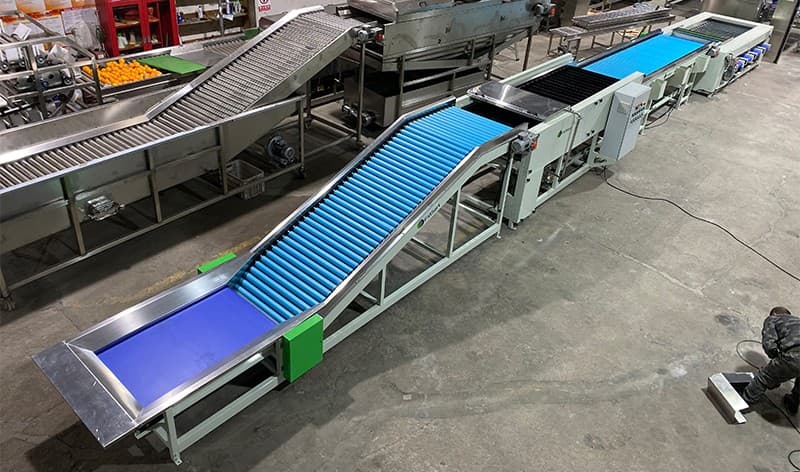 clasificadora de limpieza de mandarina