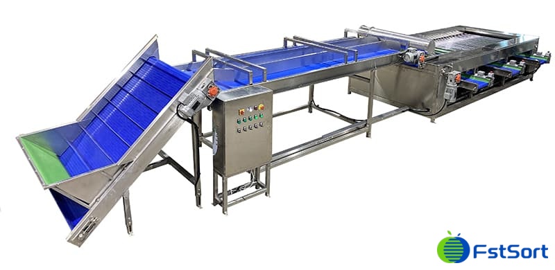 Clasificador de cebollas Clasificador de cebollas