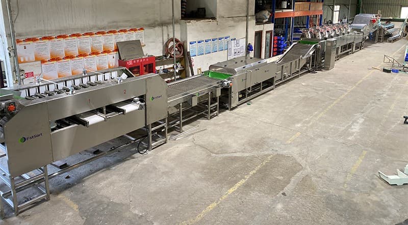 Gran línea de procesamiento de límon para el cliente mexicano