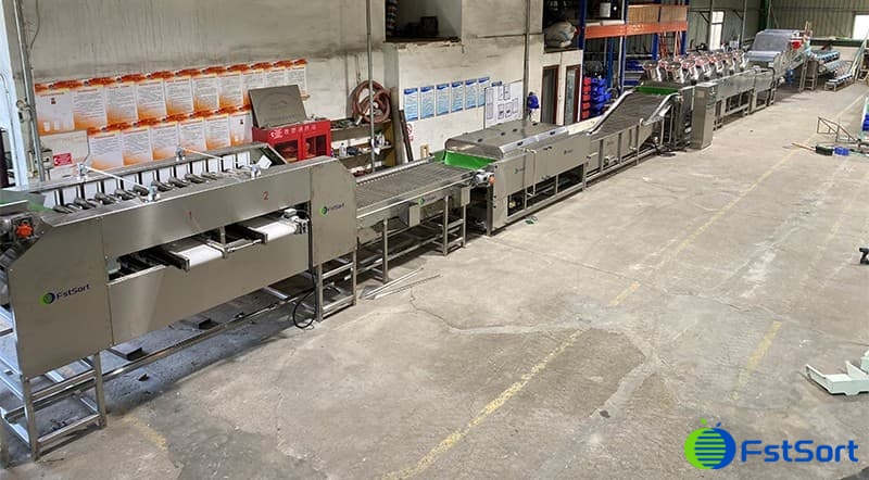 Gran línea de procesamiento de límon para el cliente mexicano Gran línea de procesamiento de límon para el cliente mexicano