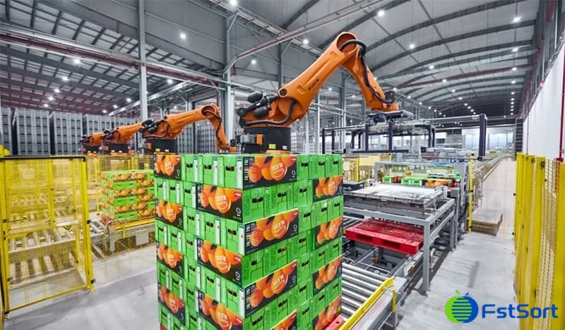 citrus-packing citrus-packing