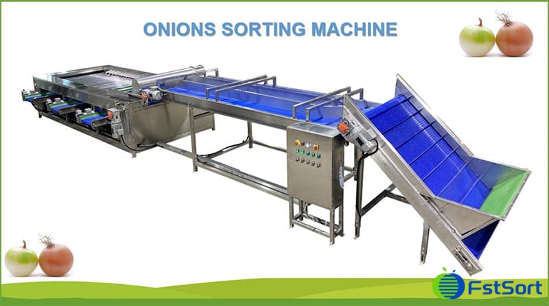 onion-sorting-machine