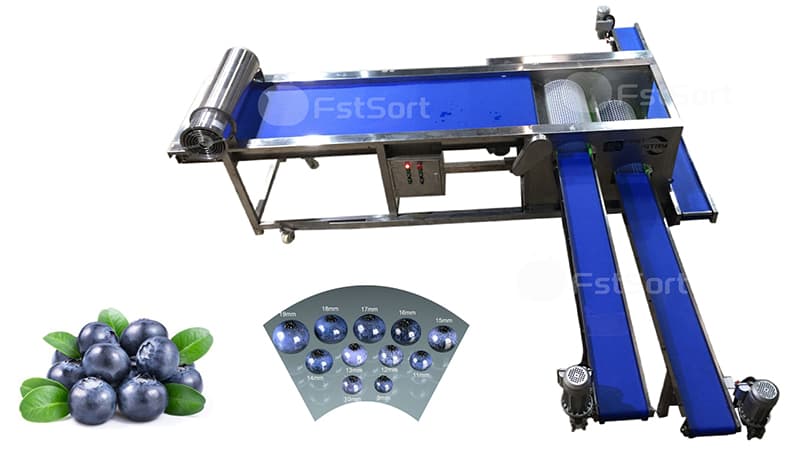 blueberry sorting machine