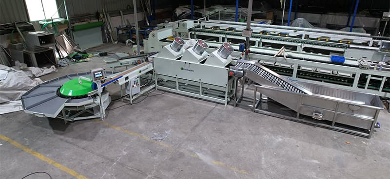 fruit-washing-grading-machine