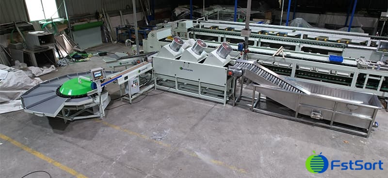 fruit-washing-grading-machine fruit-washing-grading-machine