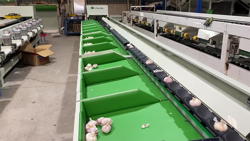 Una nueva máquina para ajo