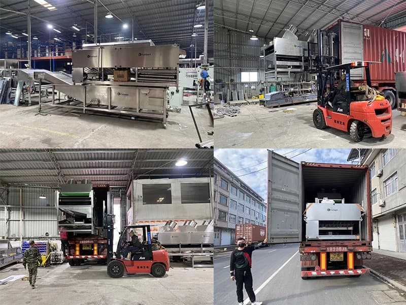 Loading of lemon cleaning drying waxing grading line