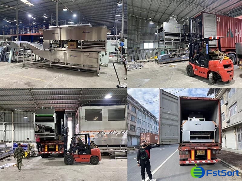 Loading of lemon cleaning drying waxing grading line Loading of lemon cleaning drying waxing grading line