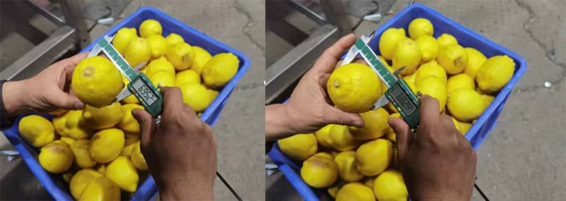 lemon-sizing lemon-sizing