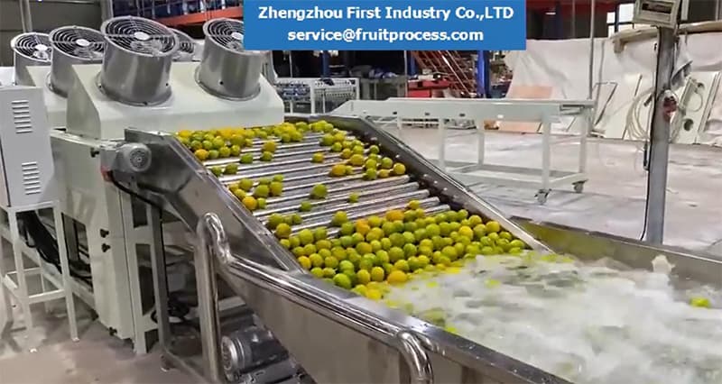 línea-de-clasificación-de-secado-de-limpieza-de-frutas línea-de-clasificación-de-secado-de-limpieza-de-frutas