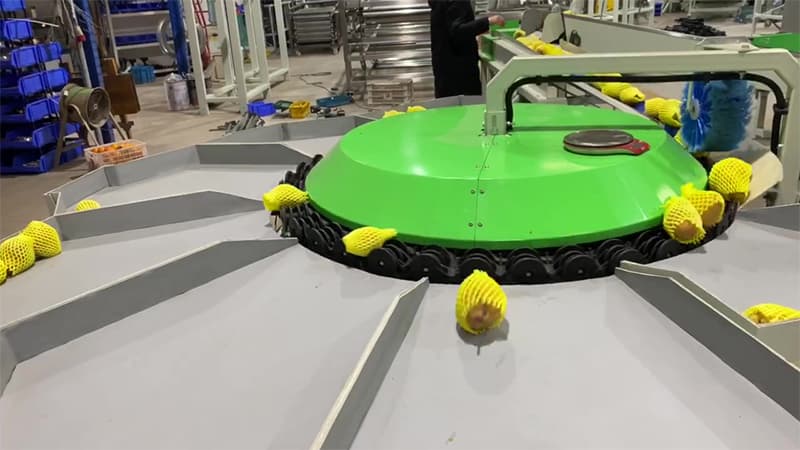 pear-sorting-grading-machine pear-sorting-grading-machine