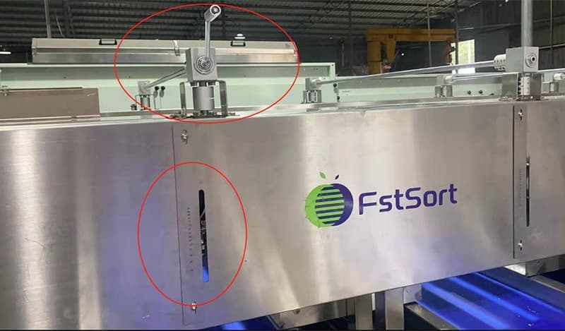 vegetable-sorting-machine vegetable-sorting-machine