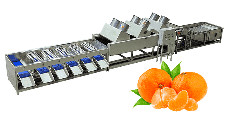 citrus-cleaning-sorting-machine citrus-cleaning-sorting-machine