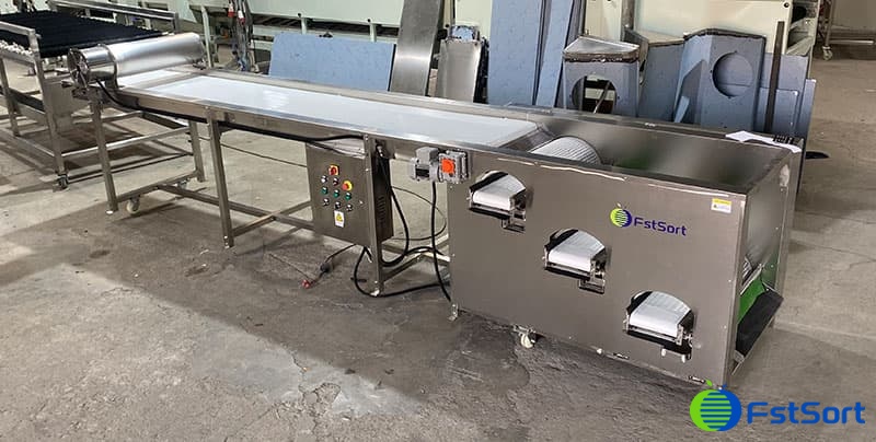 blueberry-sizer blueberry-sizer