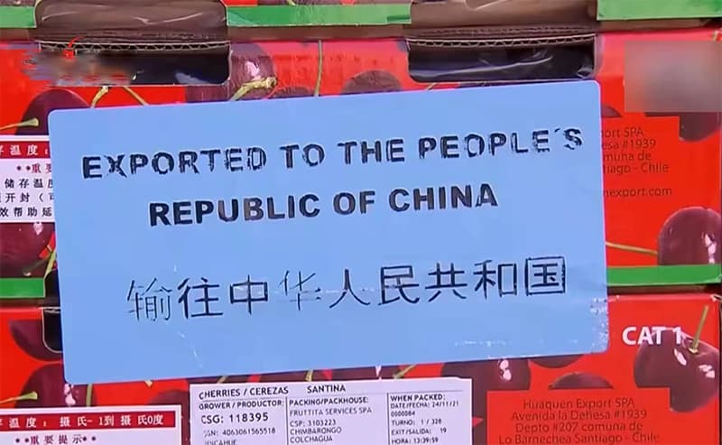 cherry-fruit cherry-fruit