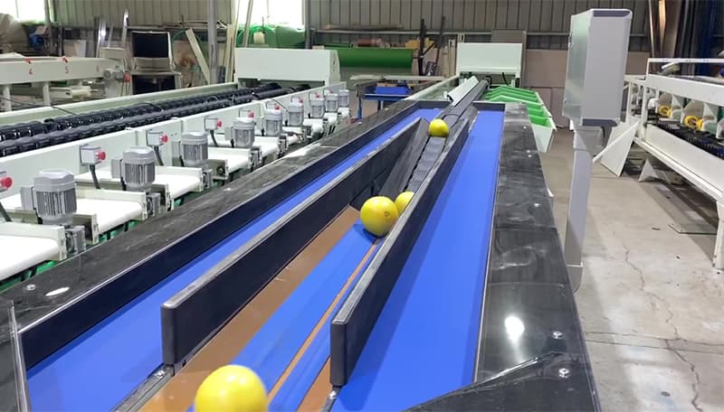 grapefruit-grading-machine