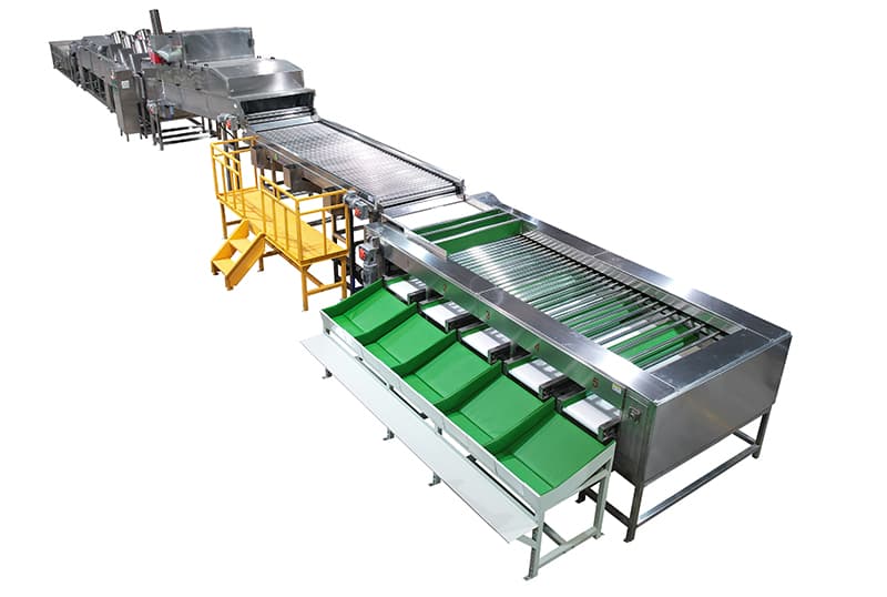 sweet-potato-washing-drying-grading-line