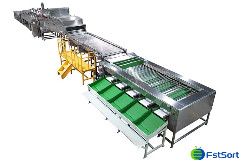 sweet-potato-washing-drying-grading-line sweet-potato-washing-drying-grading-line