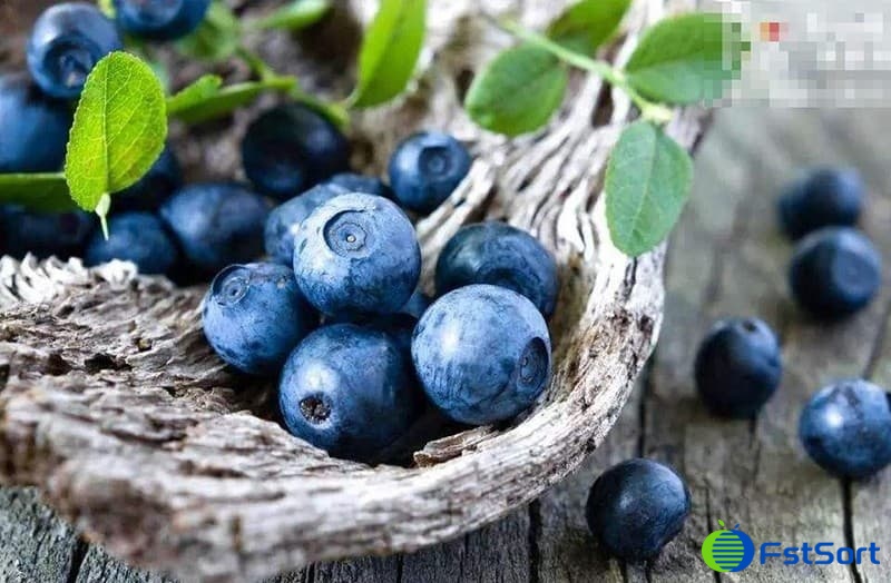 blueberry-fruit blueberry-fruit