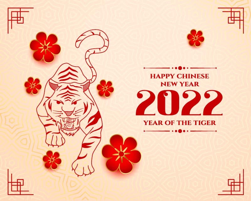 The year of the tiger