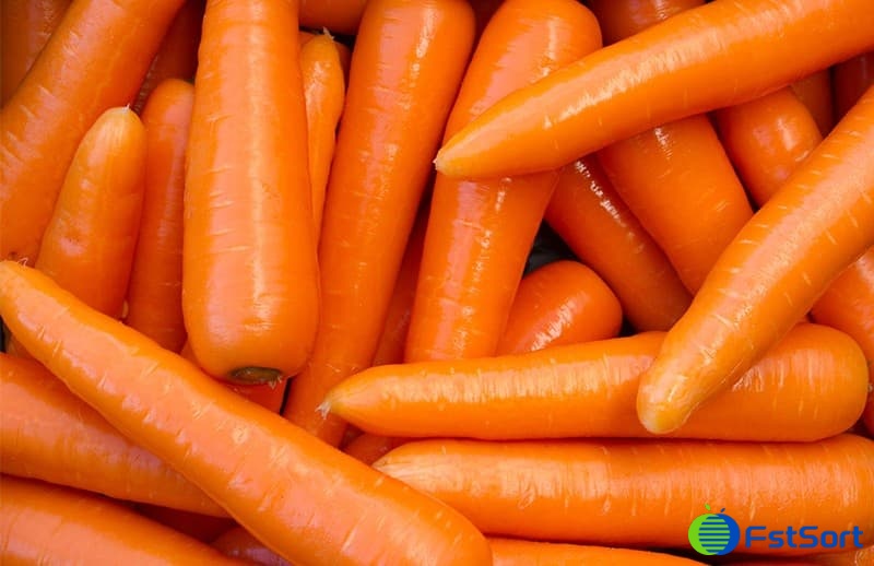 carrots carrots