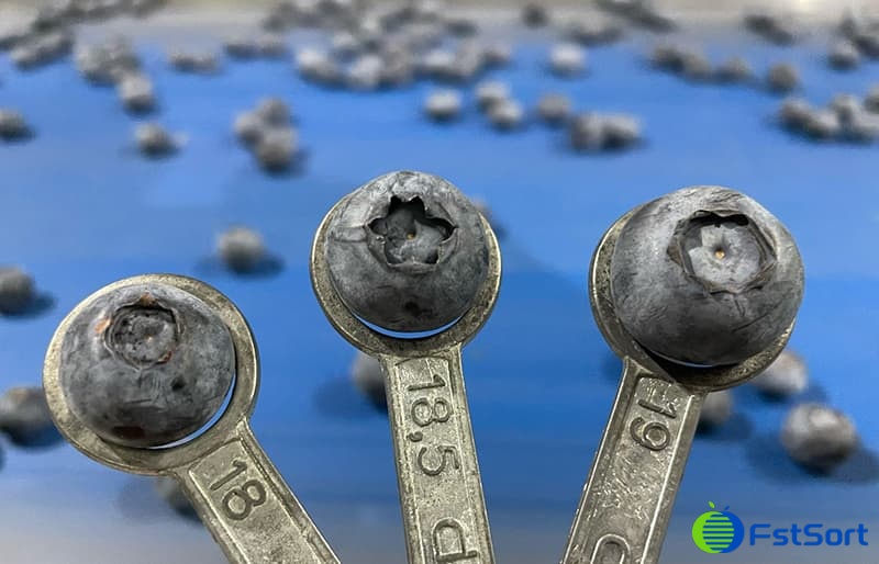 blueberries blueberries