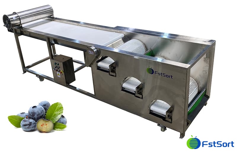 blueberry-grader blueberry-grader