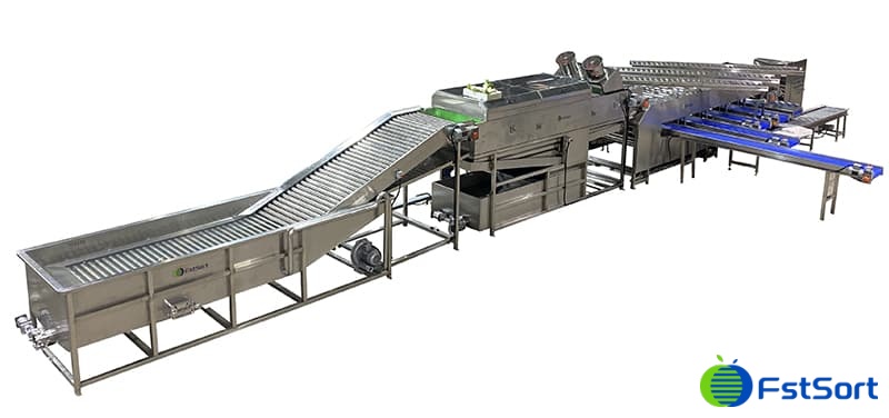 Clasificadora de rábanos Clasificadora de rábanos