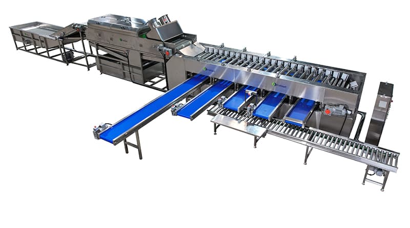 images/1644805570572radish-washing-drying-sorting-machine.jpg