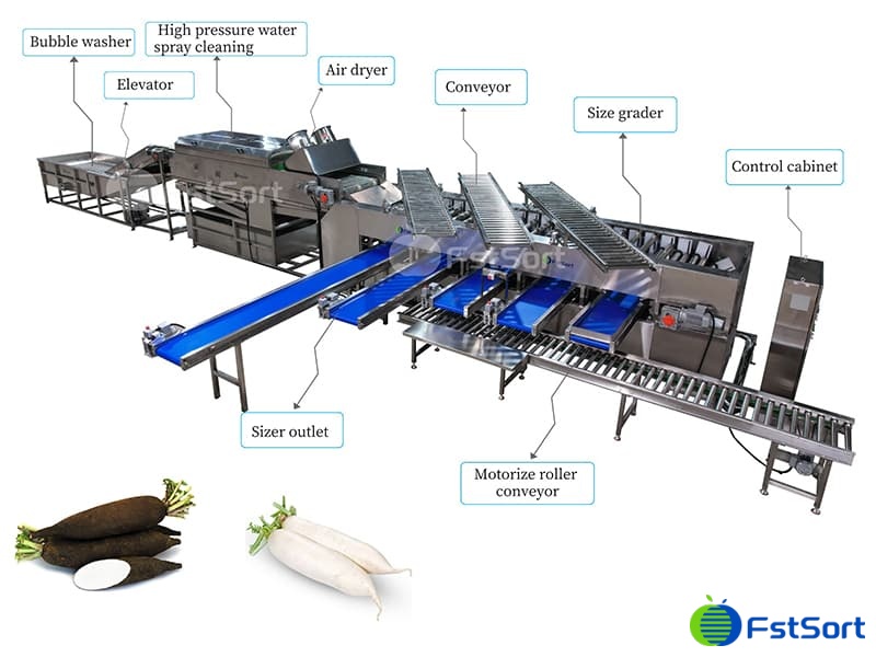 radish-washing-drying-sorting-line radish-washing-drying-sorting-line