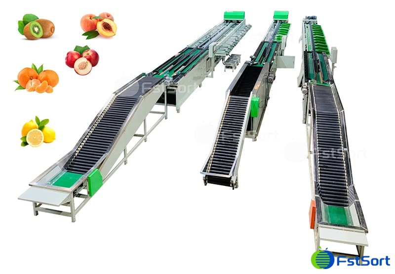 fruit sorting grading line fruit sorting grading line