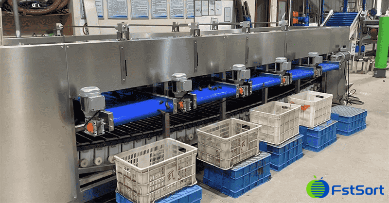 crayfish-sizer crayfish-sizer