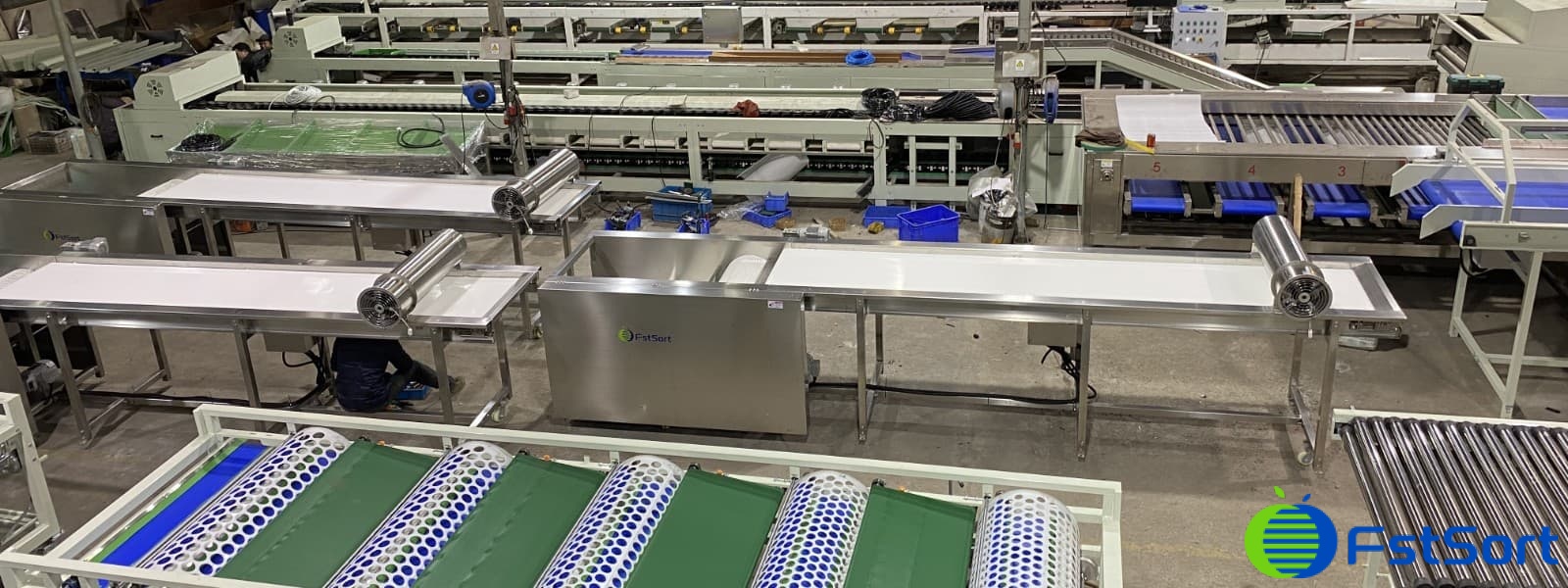 blueberry sizer blueberry sizer