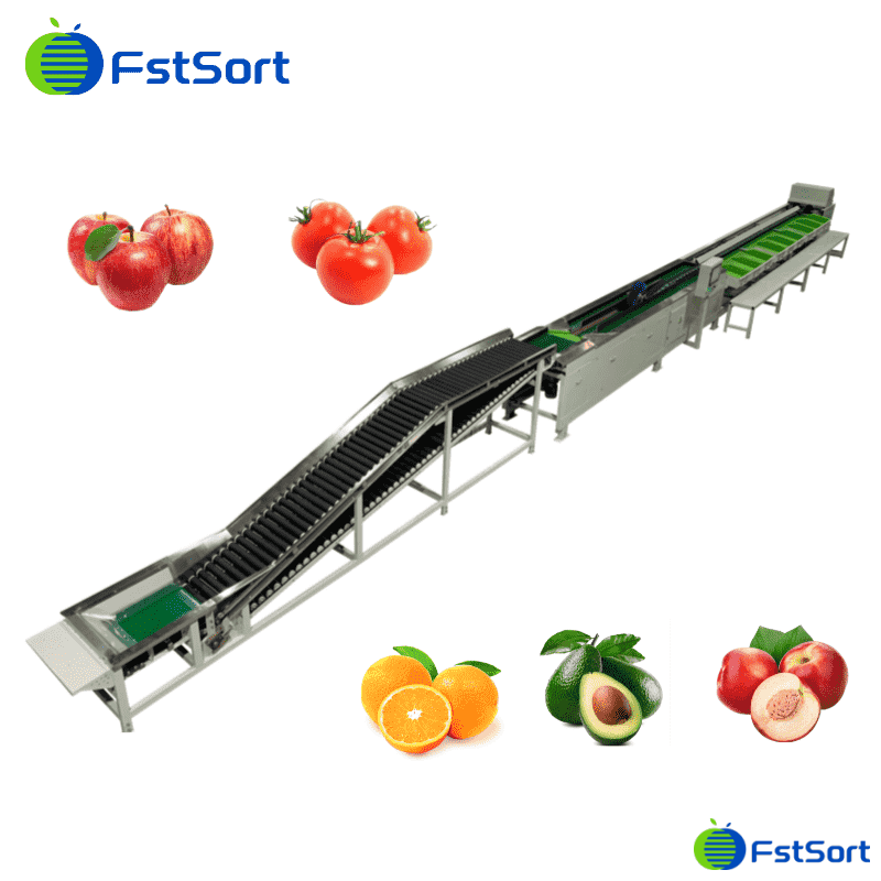 weight cleaning soirting packing line.png weight cleaning soirting packing line.png