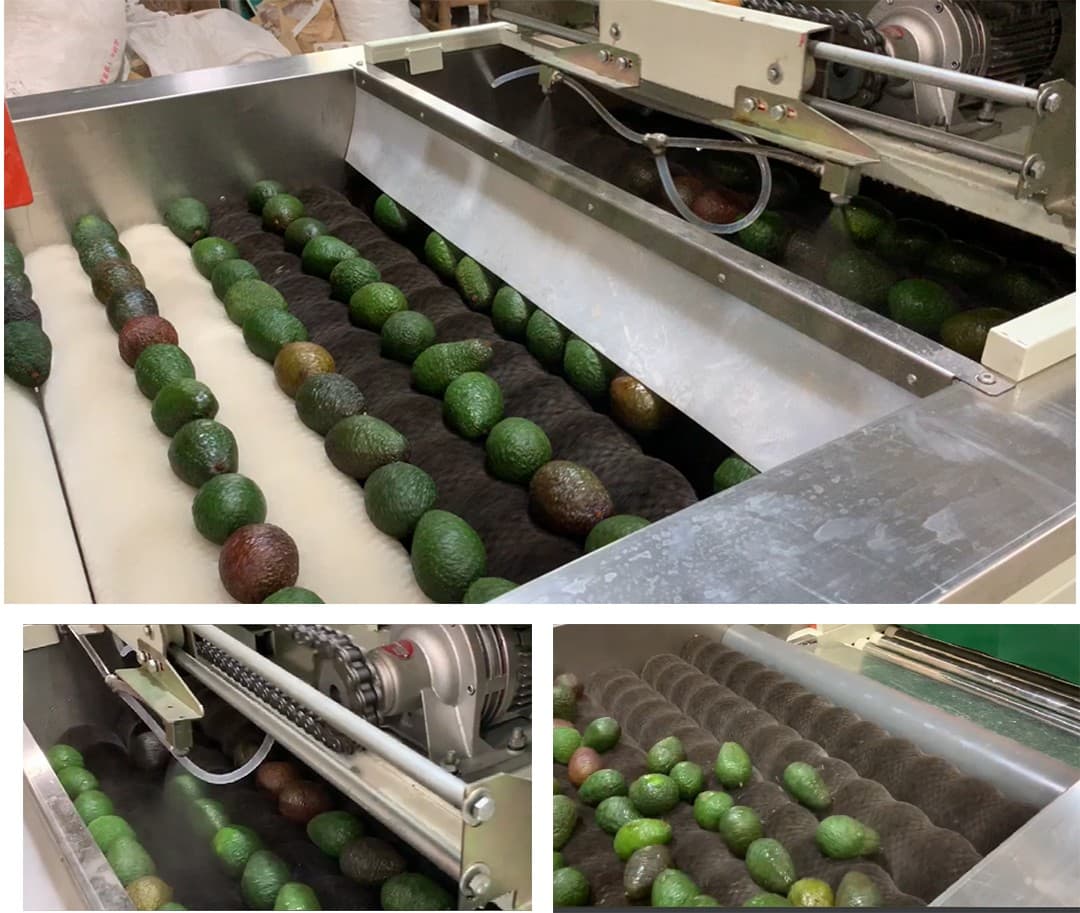 avocado-waxing-machine.jpg