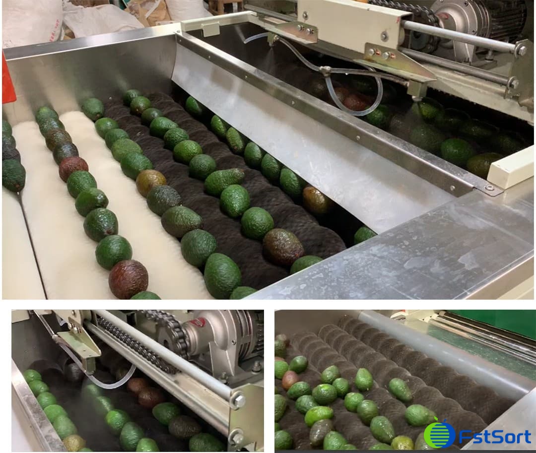 avocado-waxing-machine.jpg avocado-waxing-machine.jpg