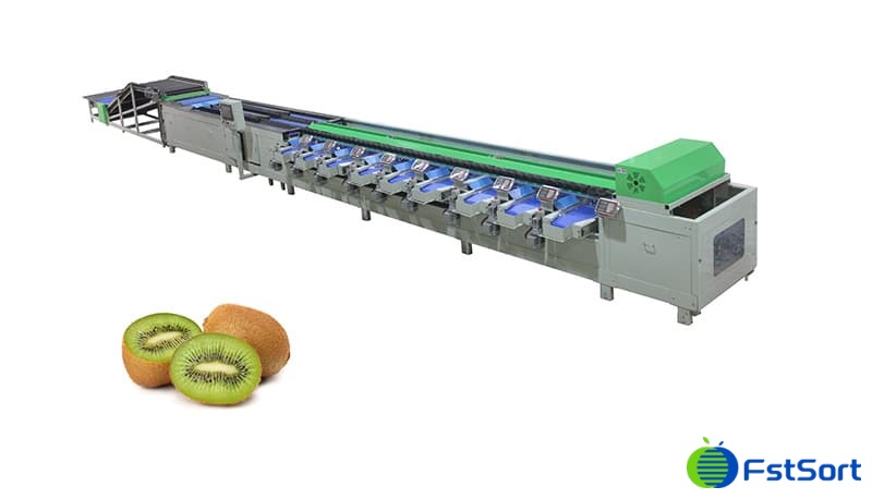 kiwi grader.jpg kiwi grader.jpg