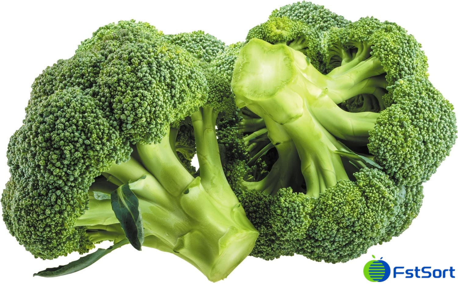 broccoli sorter broccoli sorter