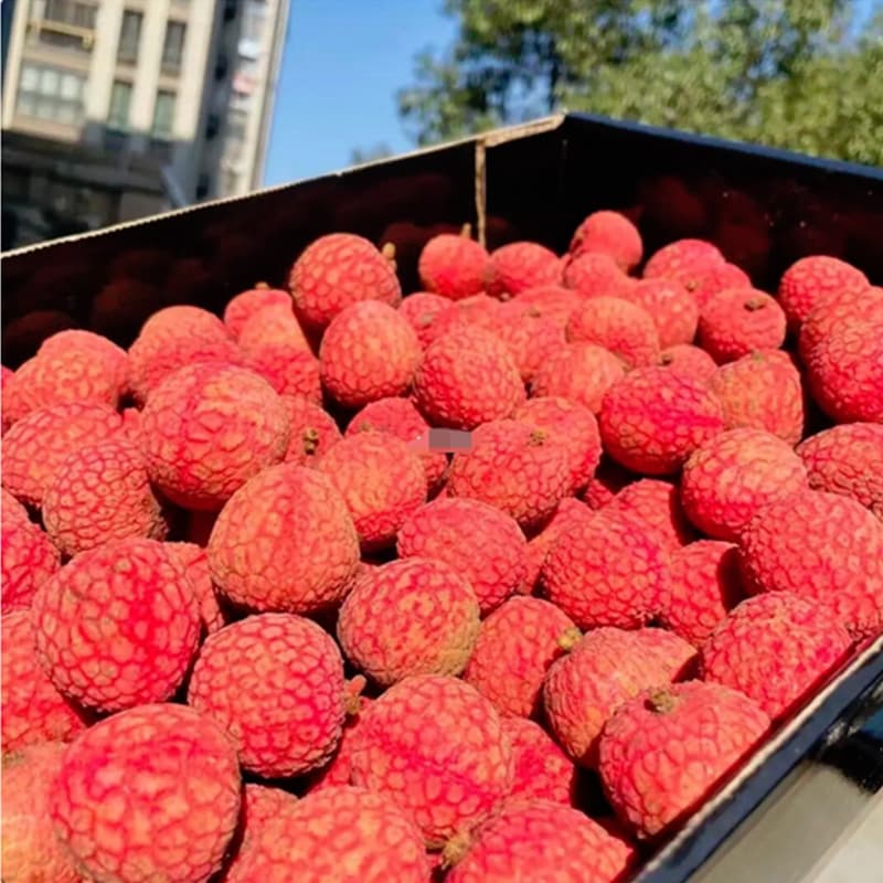 lychee2.jpg