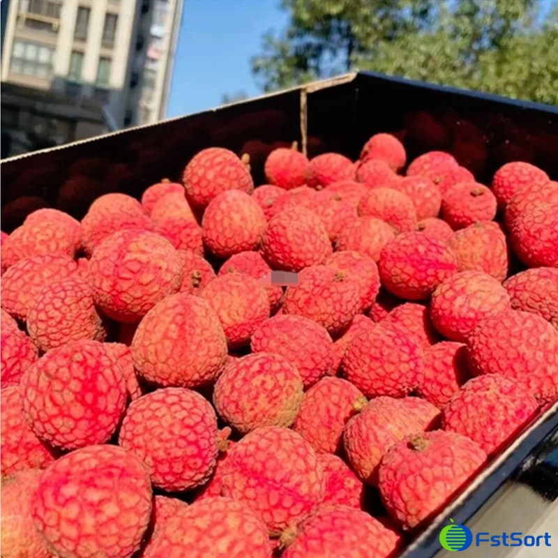 lychee2.jpg lychee2.jpg