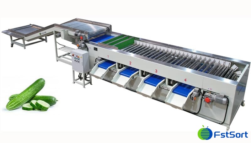 Cucumber Coring & Segmenting Machine