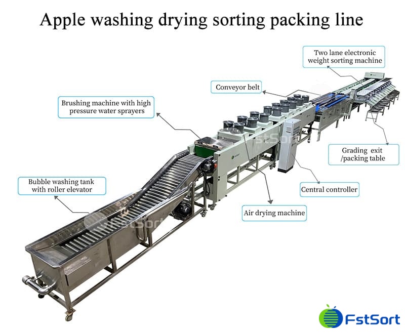 How to choose the apple sorting machine