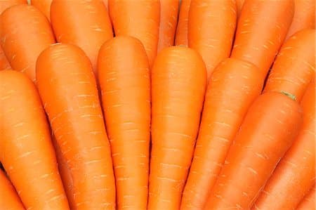 Carrots washing sorting machine